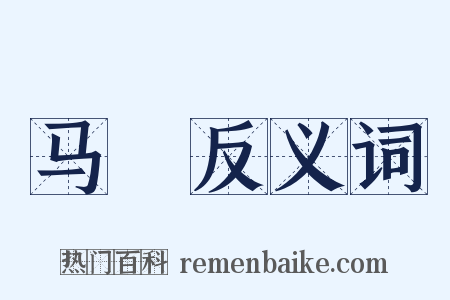 马袿反义词是什么意思的图片